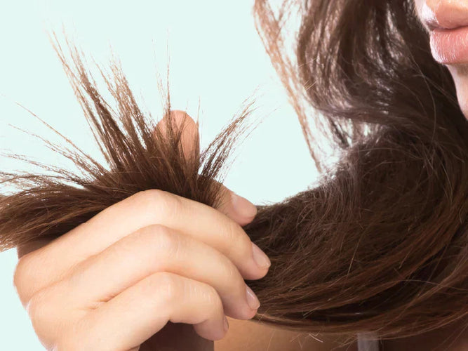 Split ends: how to prevent and quickly repair them