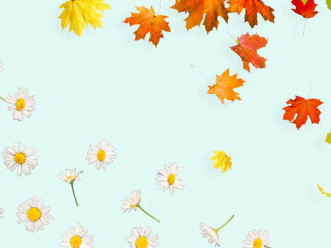 Seasonal hair shedding