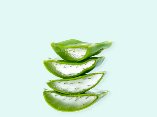 Aloe vera benefits for hair