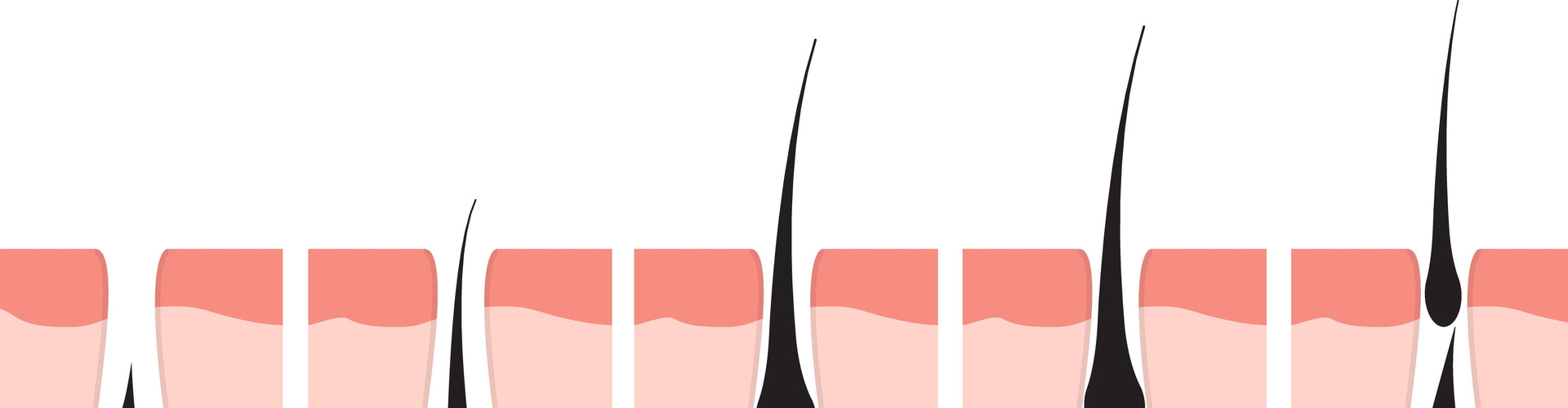 Hoe groeit je haar volgens de haargroeicyclus?