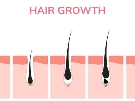 Hoe groeit je haar volgens de haargroeicyclus?