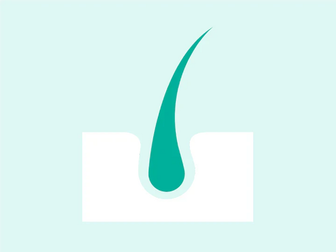 Hair Growth Stimulation Guide: Key essentials for maximum growth