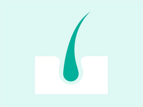 Hair Growth Stimulation Guide: Key essentials for maximum growth