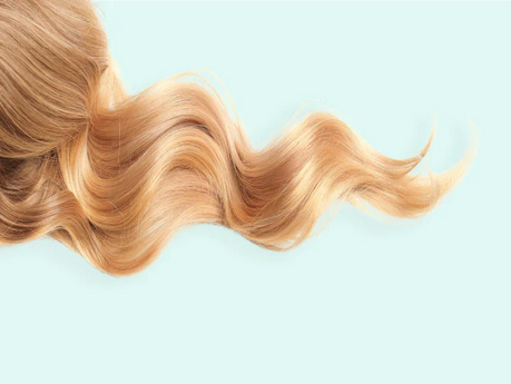 Hair Follicles: how they work and their role in hair growth