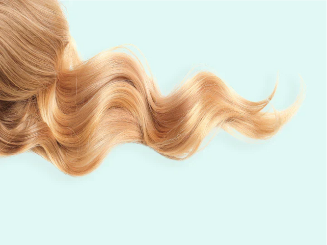 Haarzakjes (Haarfollikels): anatomie, structuur & haargroei