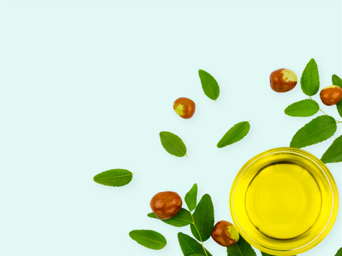 Jojoba oil benefits for hair