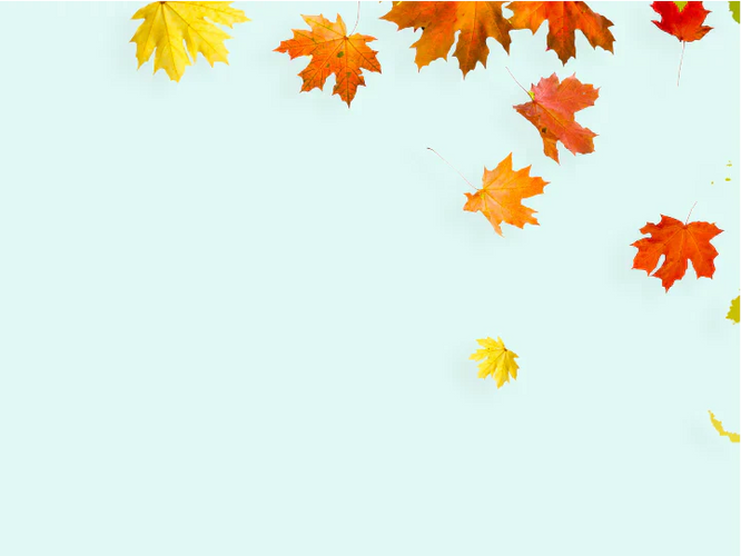 Seasonal hair loss