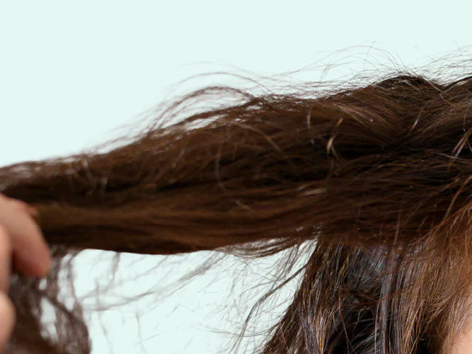 Brittle hair: causes explained and how to make it strong again