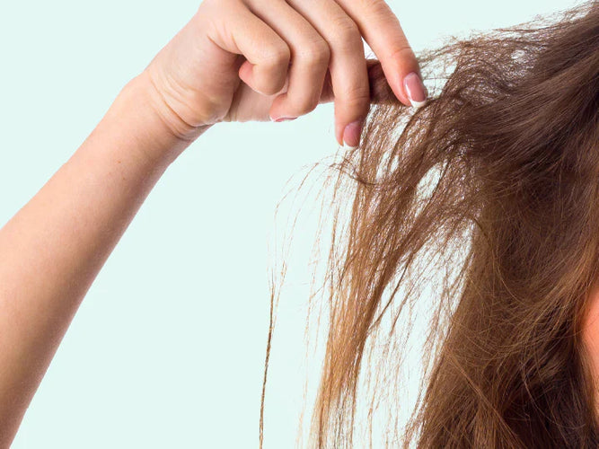 Stap voor stap beschadigd haar herstellen 