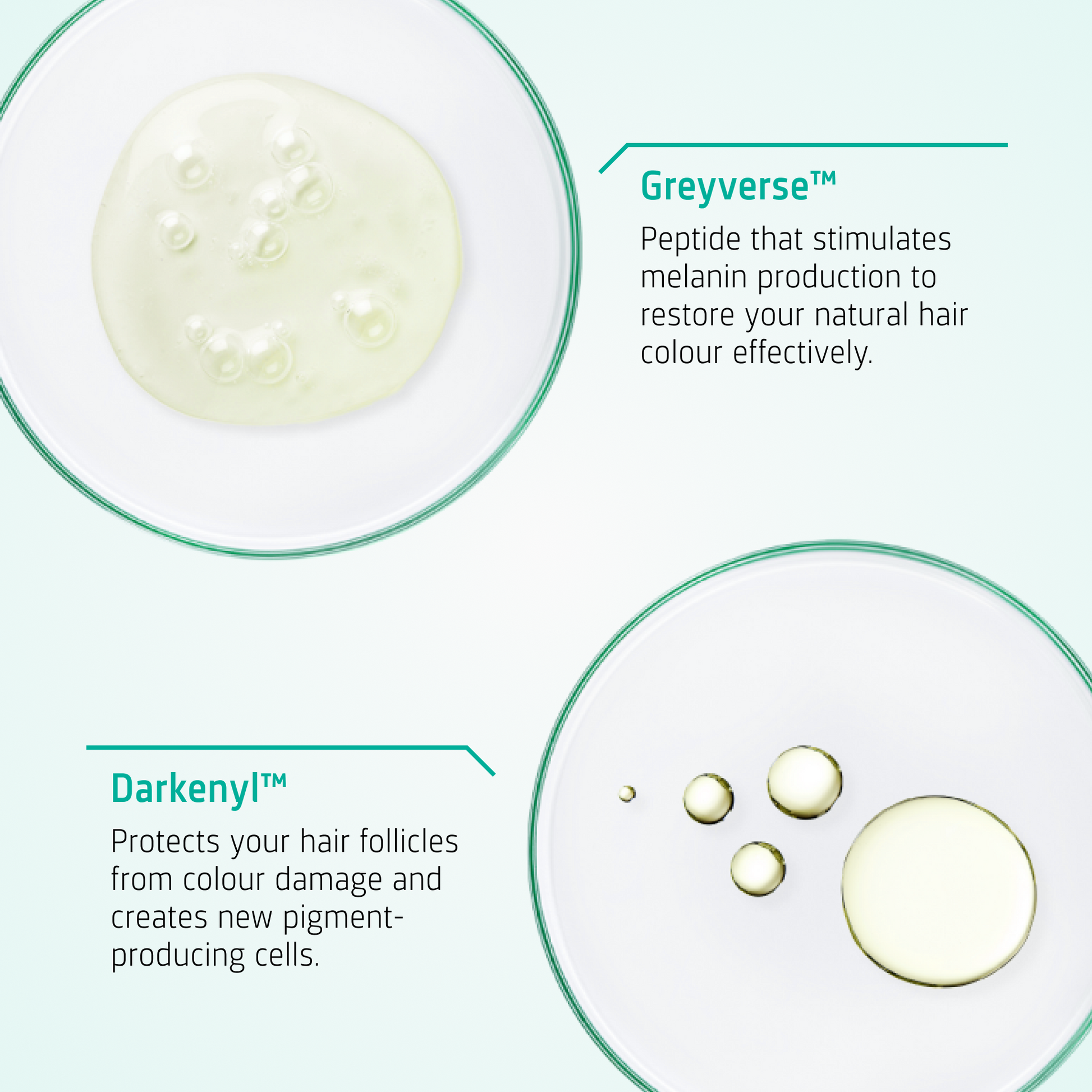 Anti Grey Hair Serum ingredients