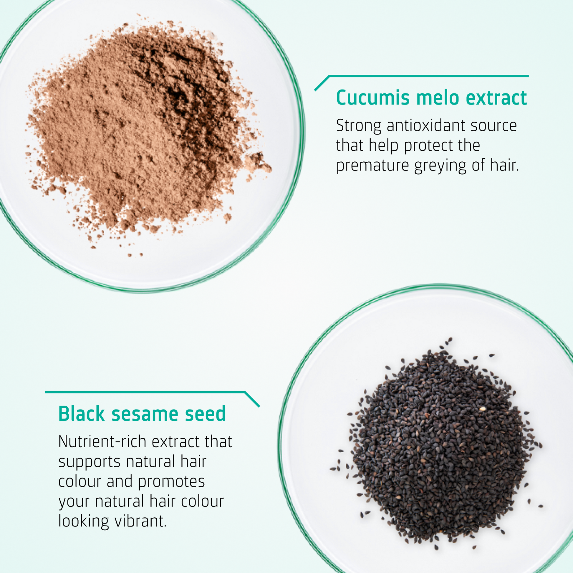 Anti Grey Hair Shampoo ingredients