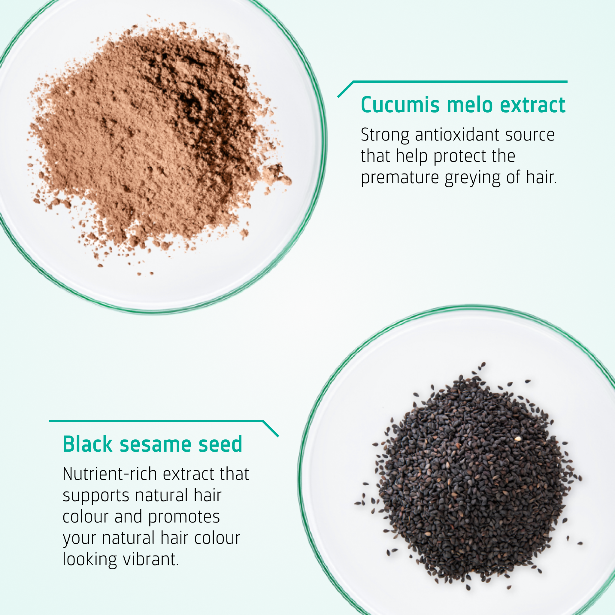 Anti Grey Hair Shampoo ingredients