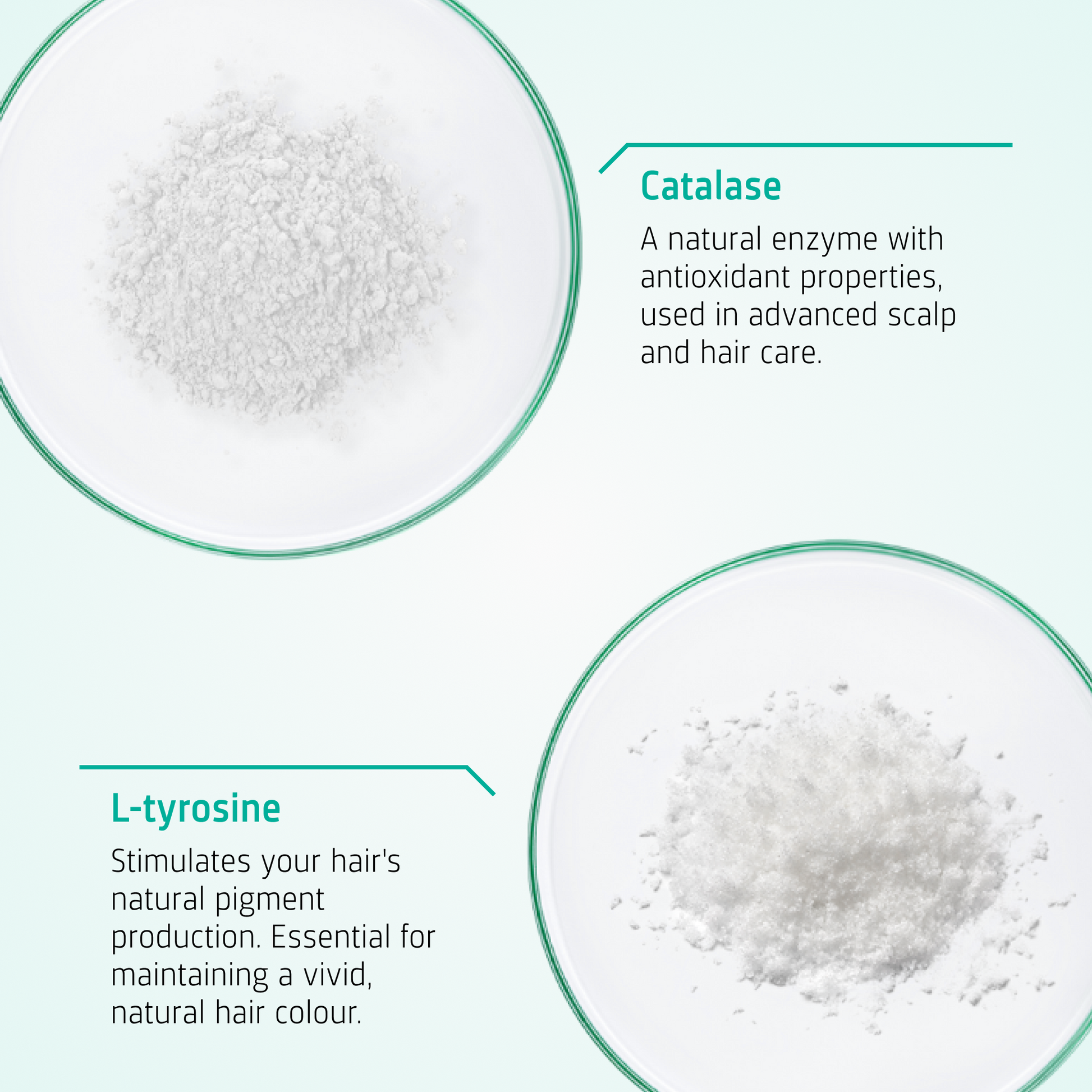 Anti Grey Hair Tablets ingredients