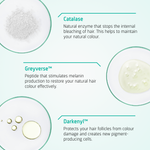 Anti Grey routine ingredients