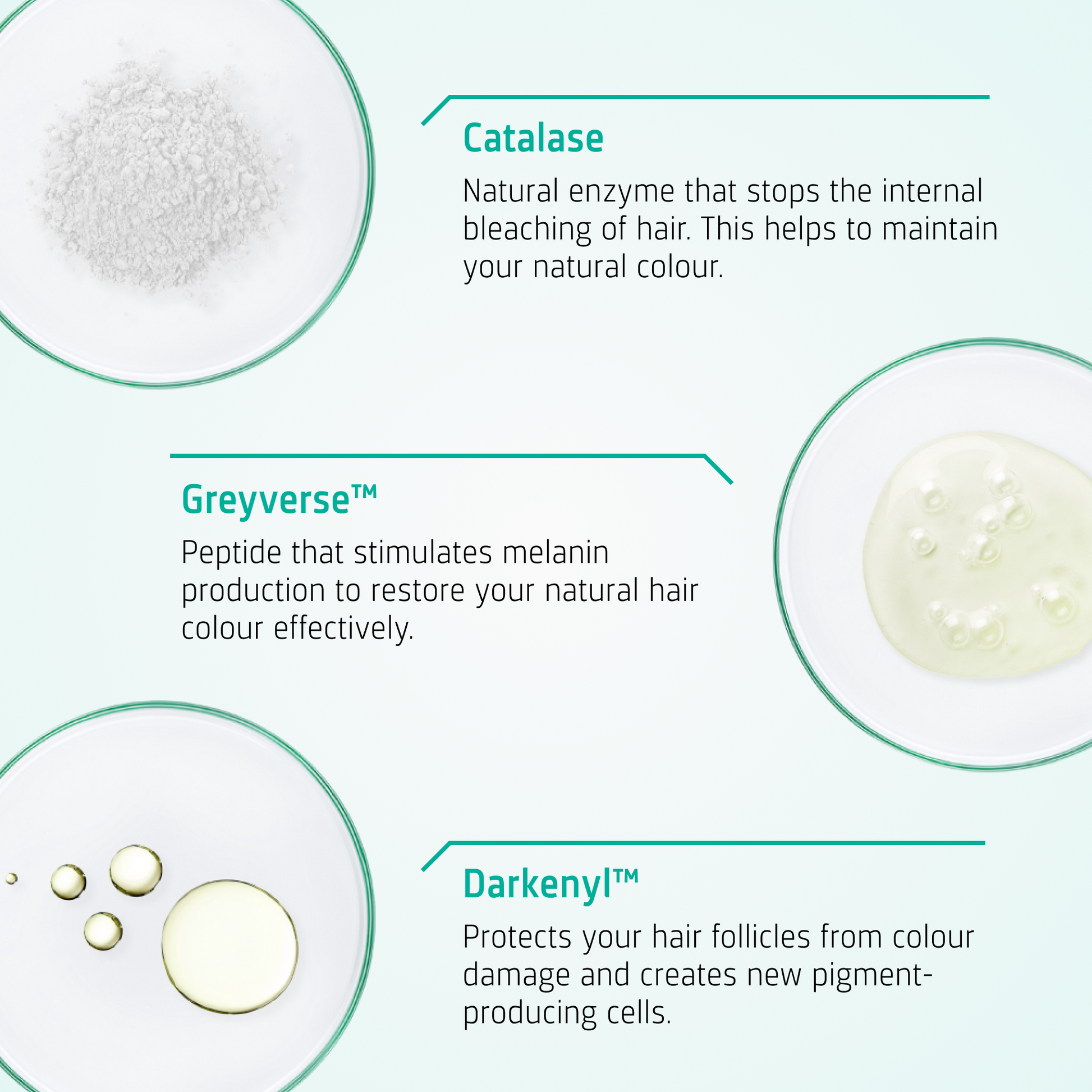 Anti Grey routine ingredients