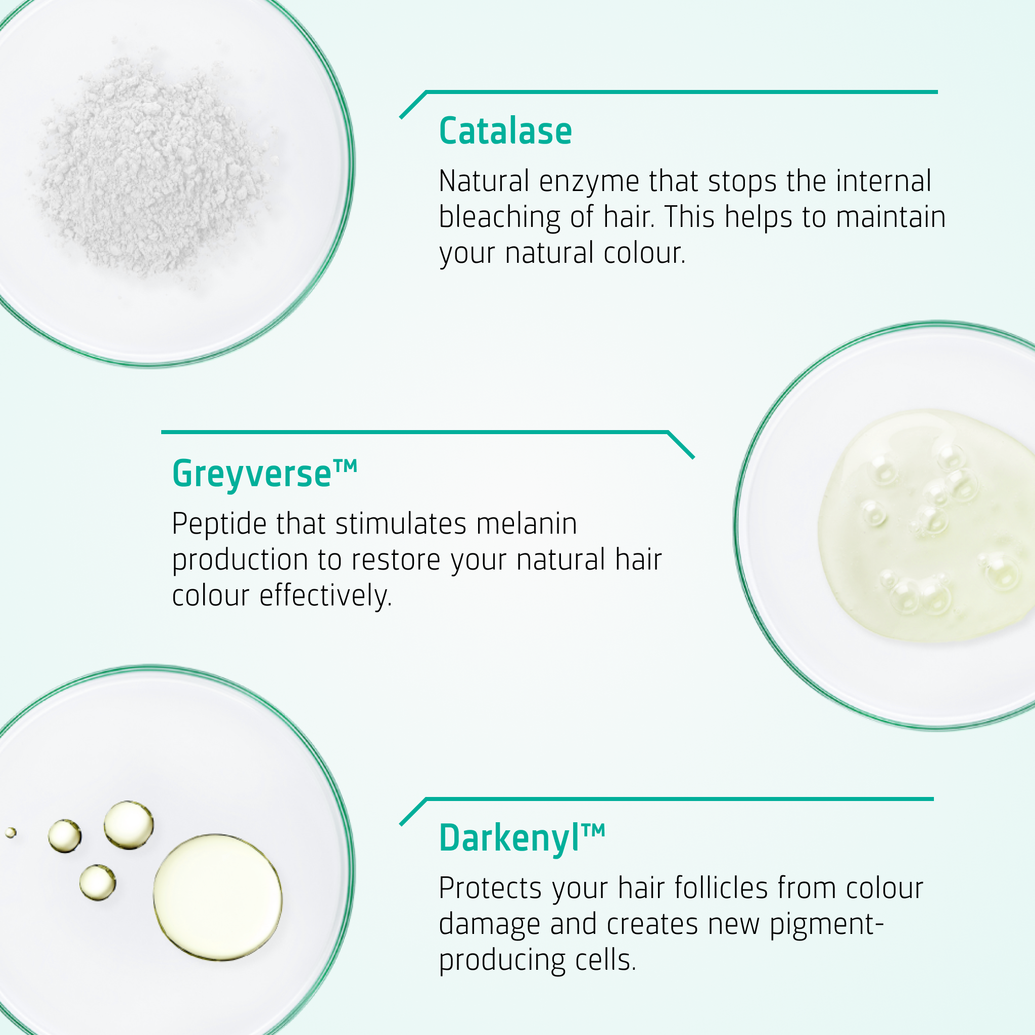 Anti Grey routine ingredients