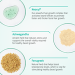 Beard Growth routine ingredients