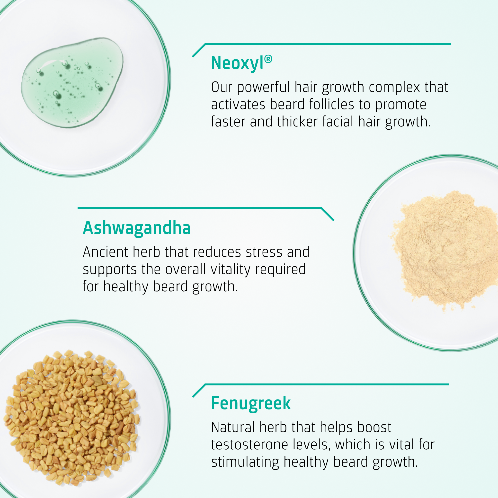 Beard Growth routine ingredients