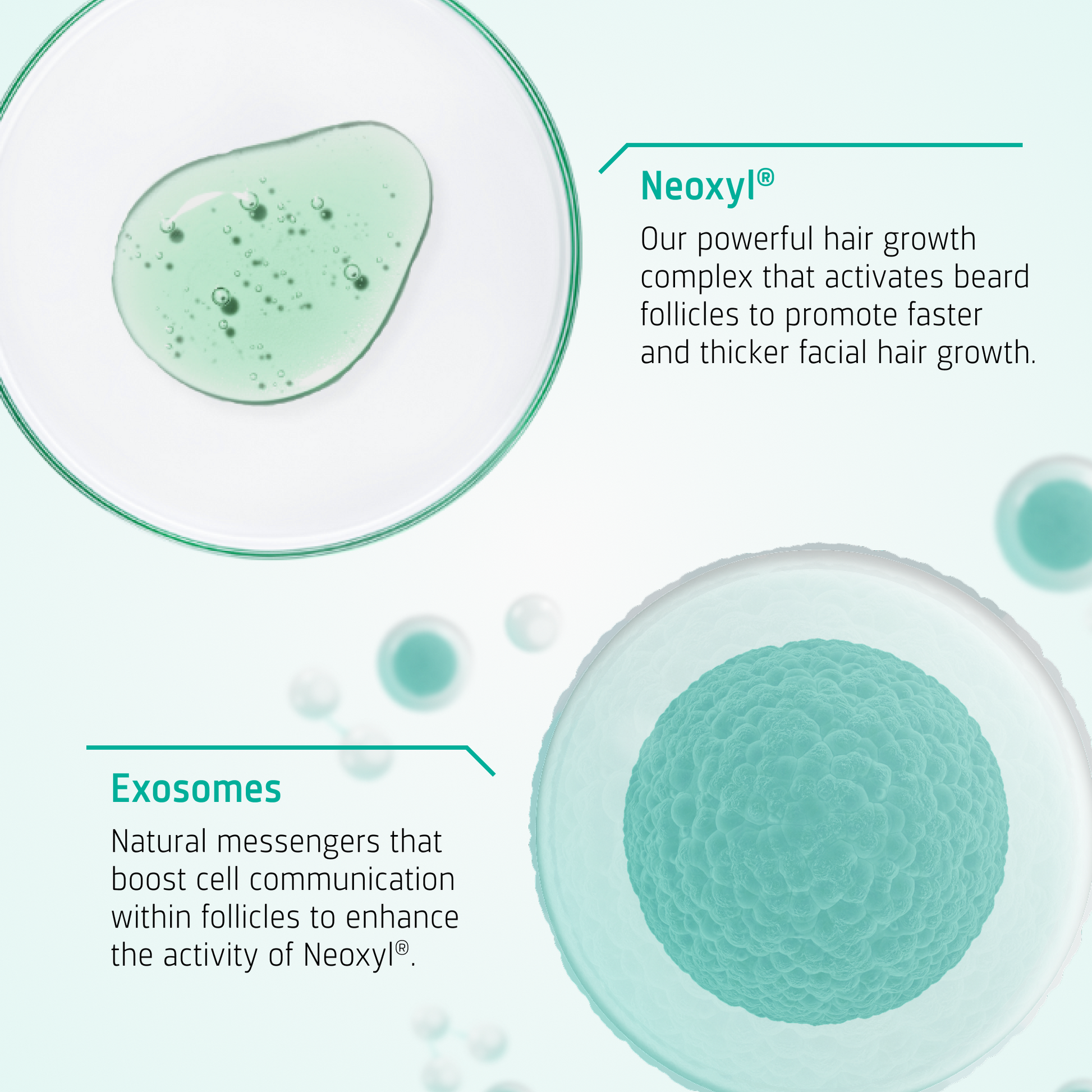 Beard Growth Stimulating Serum ingredients