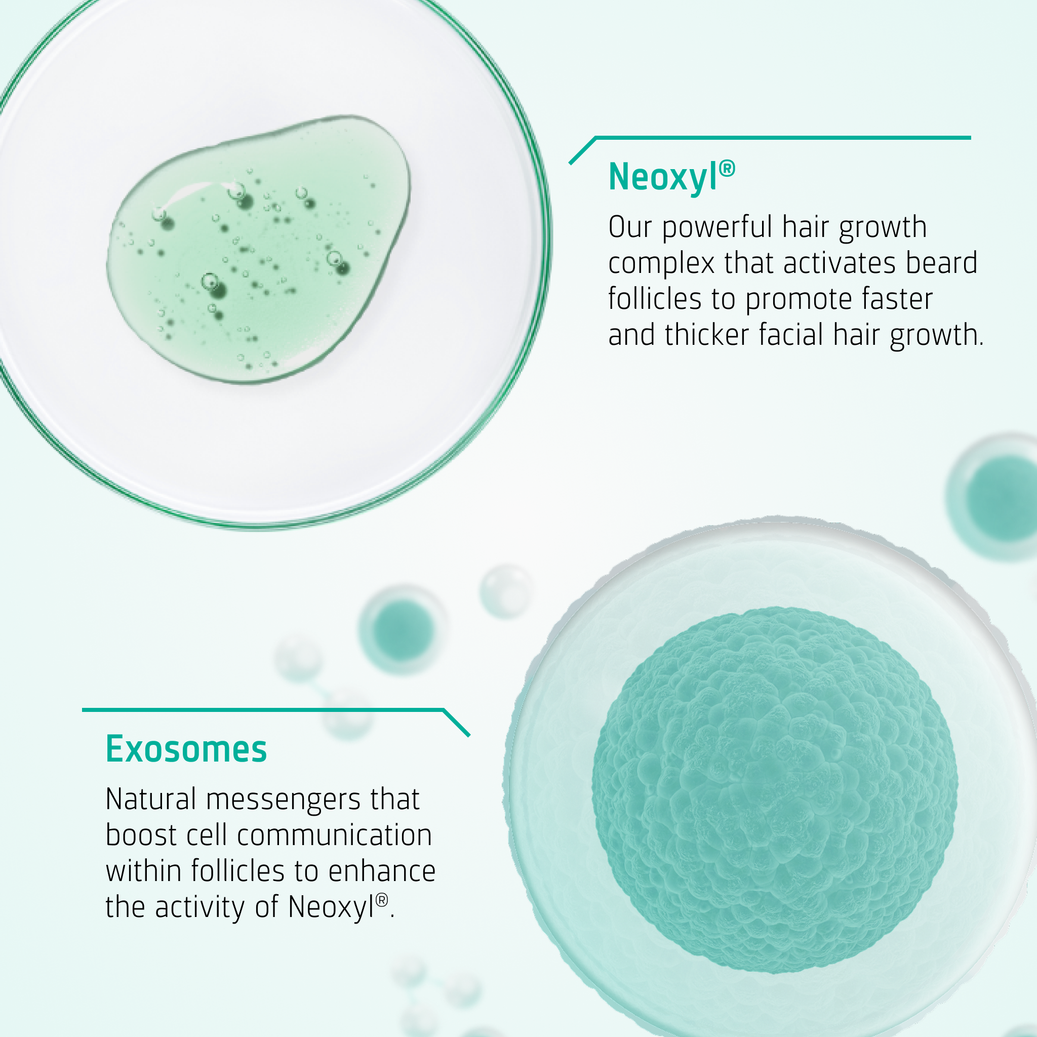 Beard Growth Stimulating Serum ingredients
