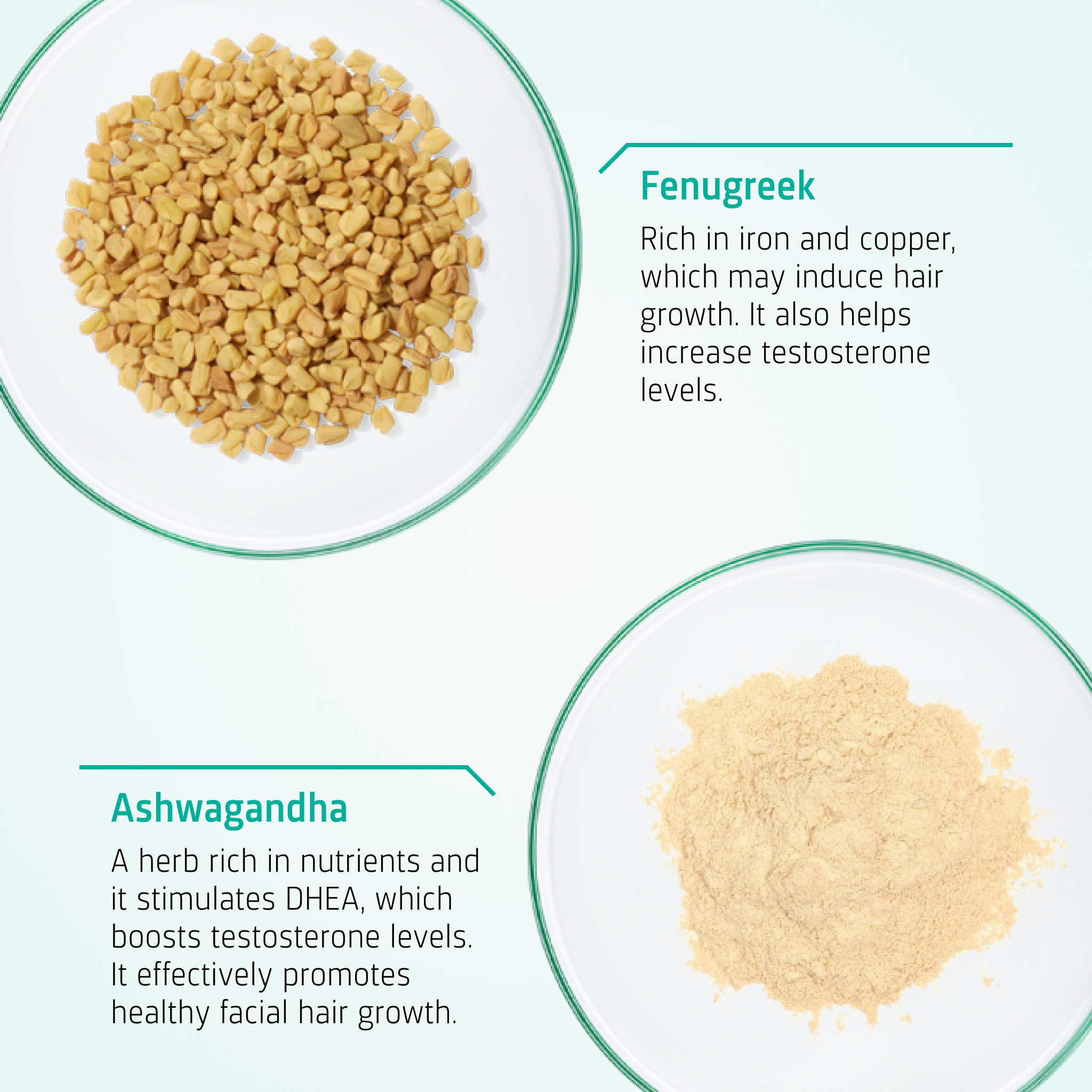 Beard Growth Supporting Tablets ingredients