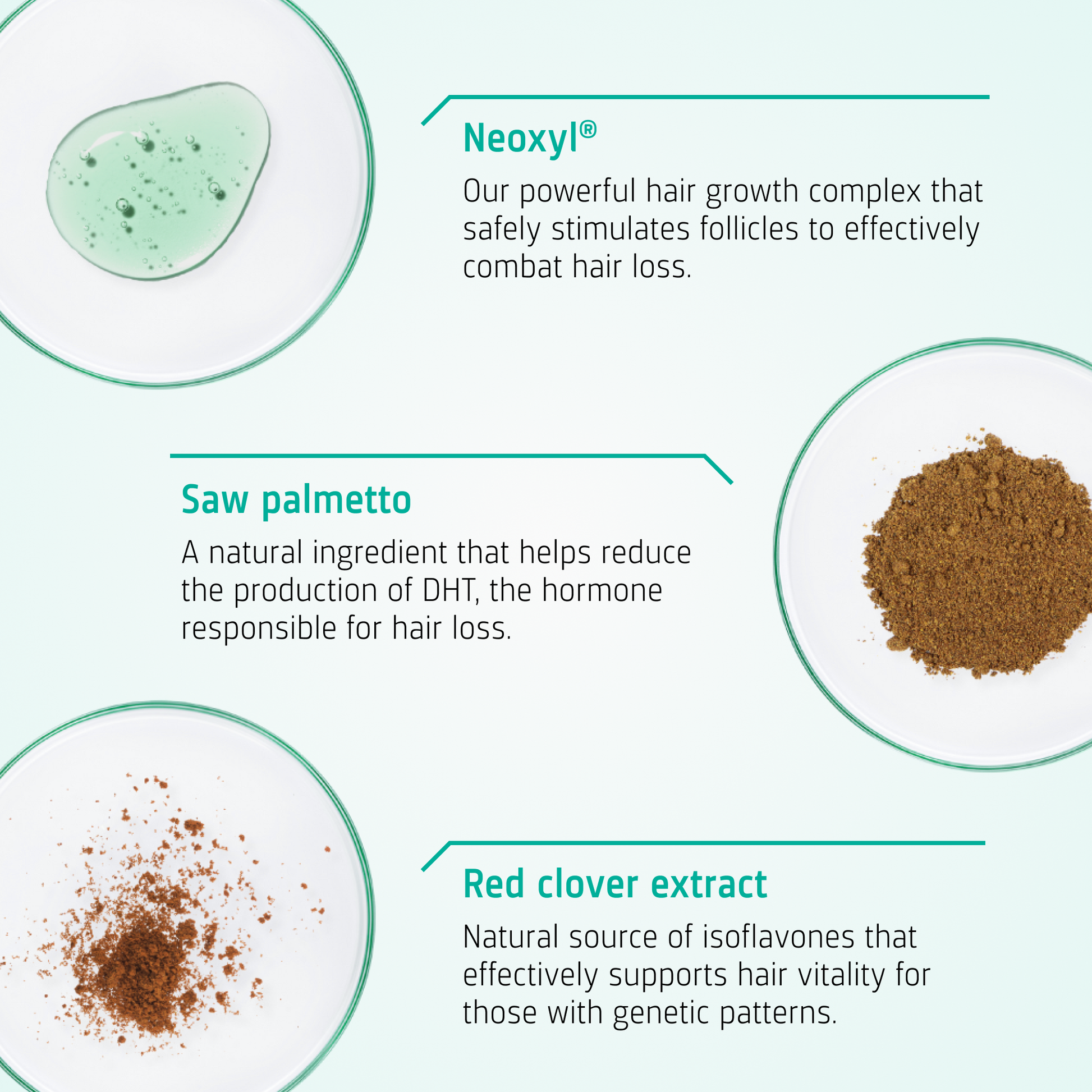 Hair Growth Androgenetic Alopecia routine ingredients