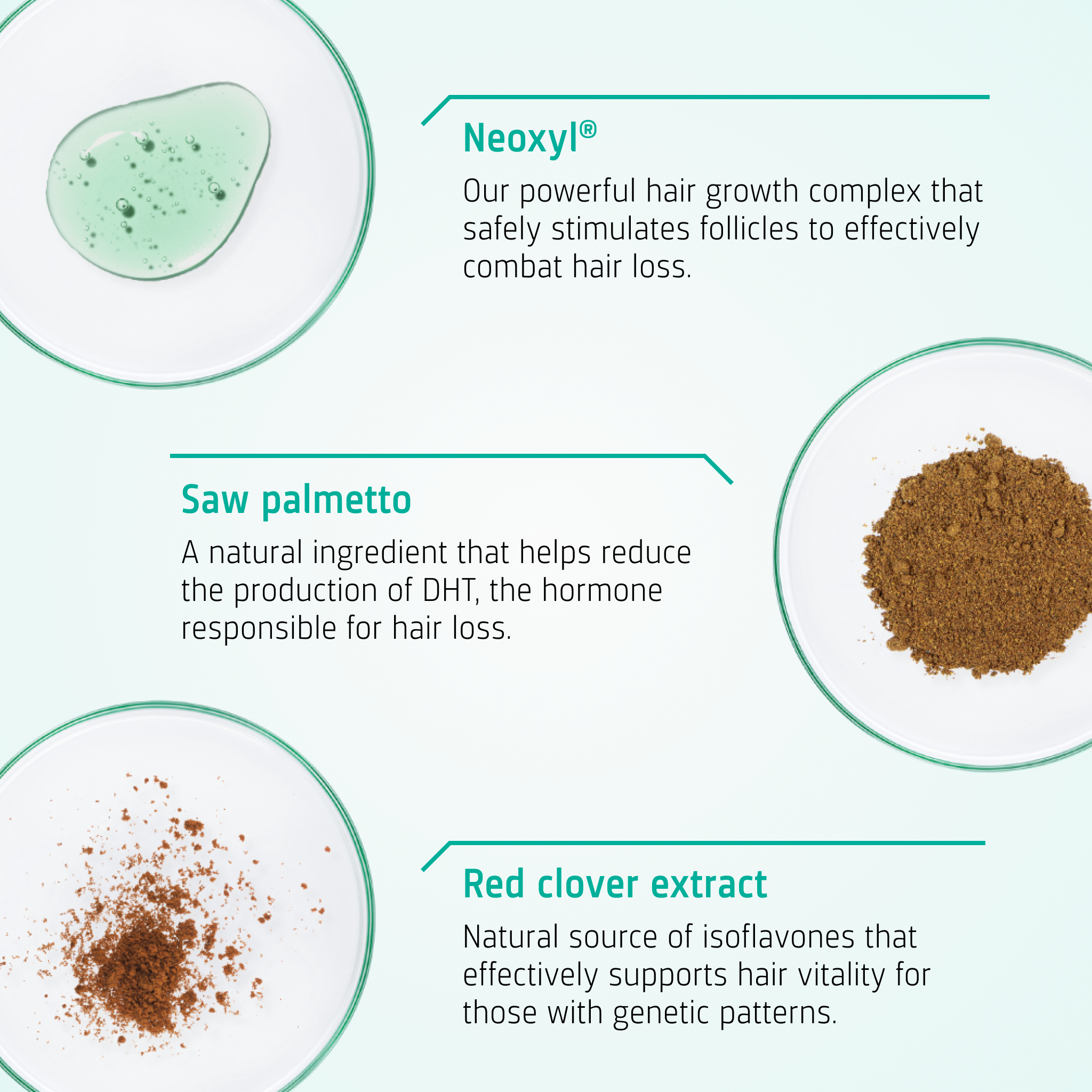 Hair Growth Androgenetic Alopecia routine ingredients
