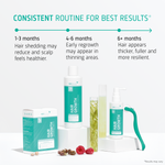 Hair Growth Androgenetic Alopecia routine timeline
