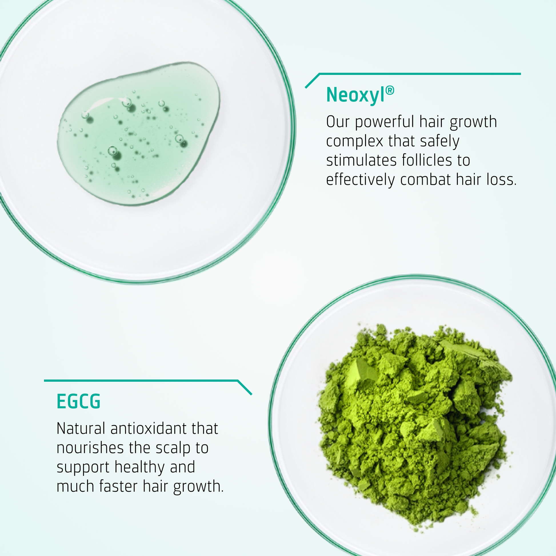 Hair Growth kit ingredients
