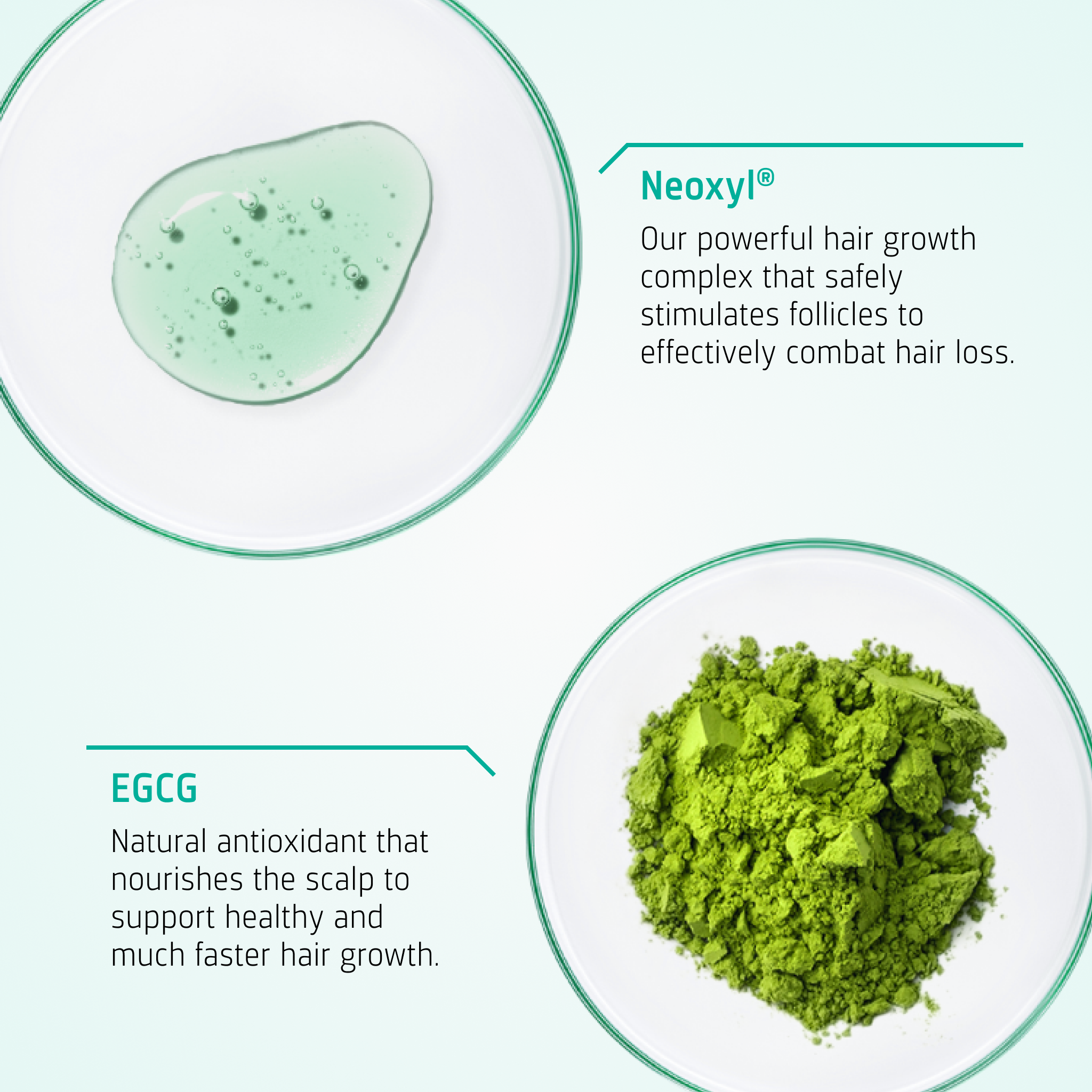 Hair Growth kit ingredients