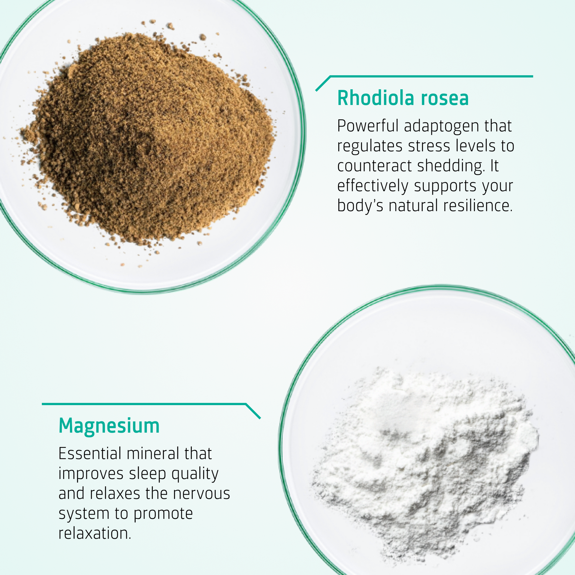 Stress Balancing Hair Tablets ingredients